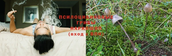 бошки Алзамай
