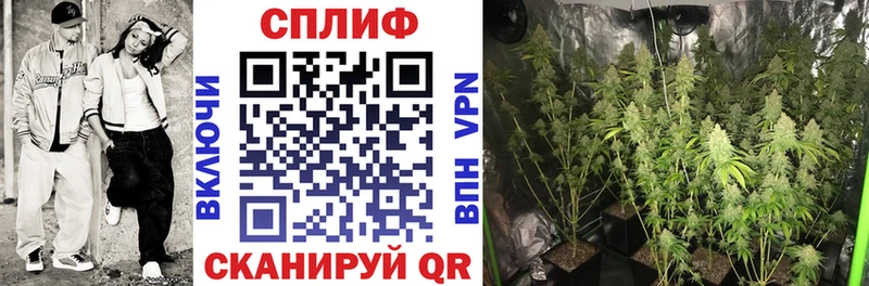 наркота  Сосенский  Бошки Шишки тримм 